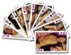 Karty STRIP POKER Karty STRIP POKER
